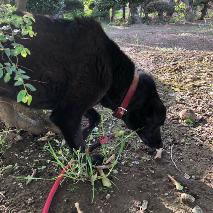 4a3967d0 1833 459b bb8b e5dd112b9073 1556436495593