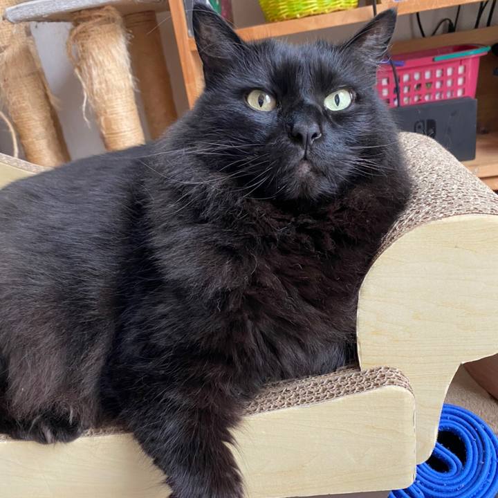 4a397cf8 e470 45dc 9fe0 2d1ef379cfd0 1593830388216