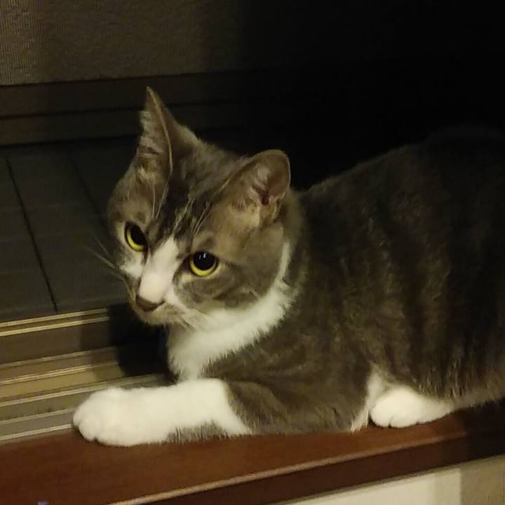 4a39ee23 4506 42db 9144 f92a63a8e54b 1590851230815