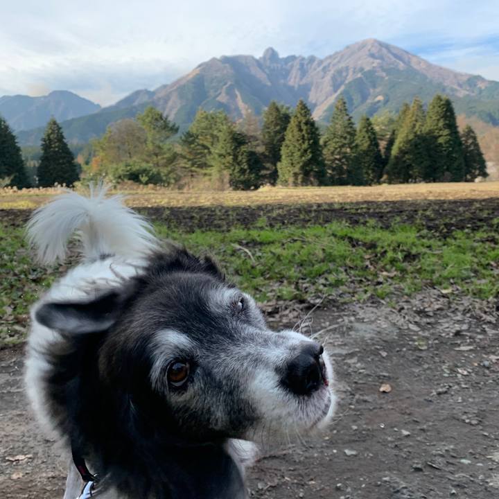 4a39f1e8 8e93 4acc b66c 141b6b48be77 1575970745864