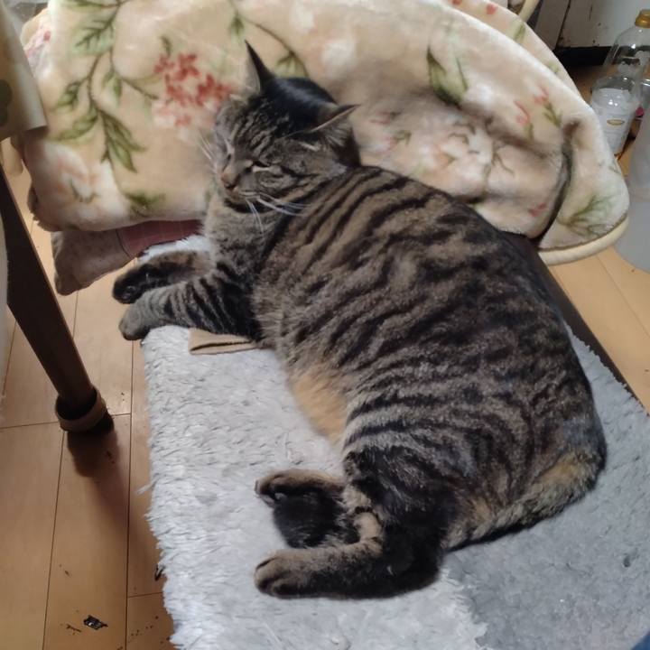 4a39fa3a 1e57 4def a3e8 36b74f689aa7 1672790766009