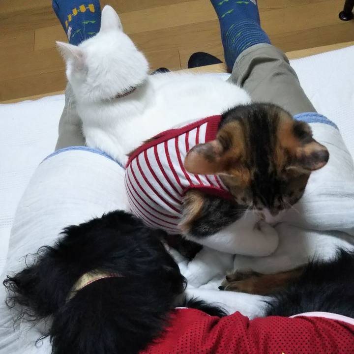 4a3a008a bd40 4028 a751 c1fc3f16450f 1634108509920