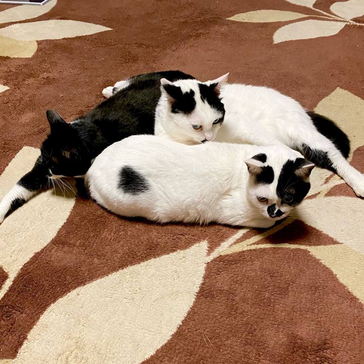 4a3a26cc 3ad2 4539 afc4 6db25f31352d 1607784473704