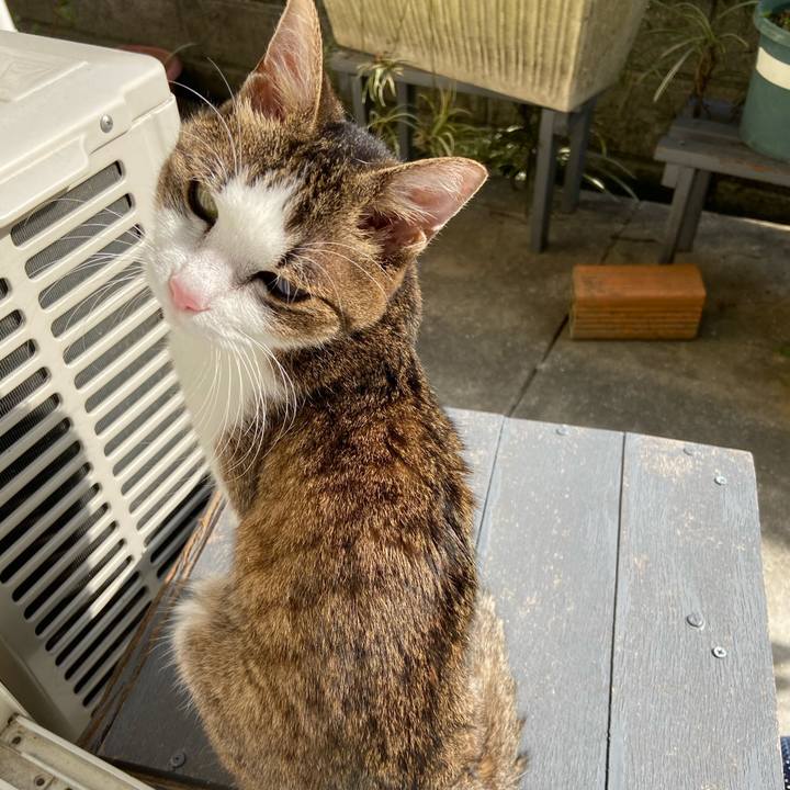 4a3a4df2 53e9 4f29 9fac e8edbc7efda0 1581508304999