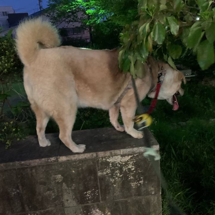 4a3a7206 d89f 47ab 922f 88a377a42092 1588343227723