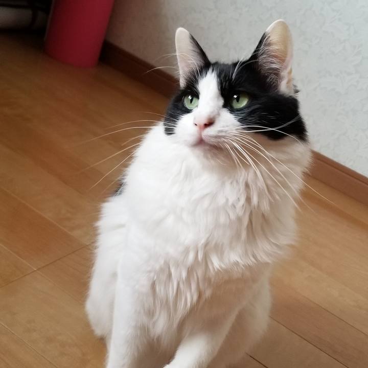 4a3a77c5 520d 4484 bb34 78e6d681d84c 1550784504912