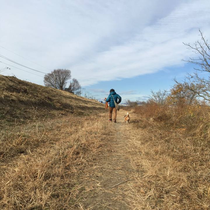 4a3a9683 bcc9 46e9 a51c f7dc69868124 1608685649335