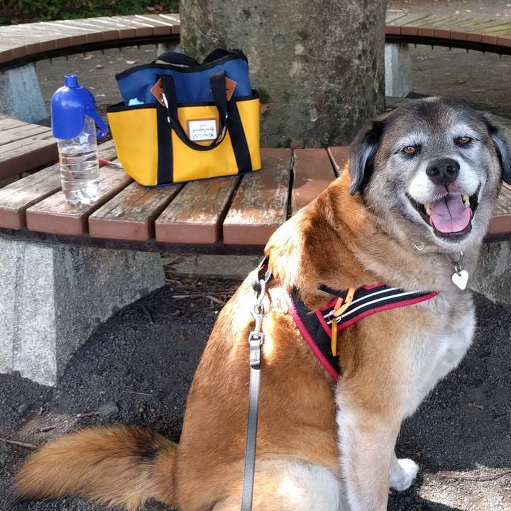 4a3b1c6c 47bb 4300 8872 2d36024da979 1529369083845