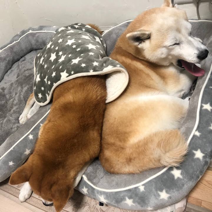 4a3b3268 3726 44cc 83f5 bebd19c7206d 1572389183296