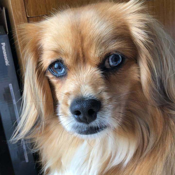 4a3b64a7 07d9 47ce 8f7d ec0a21ad5ebb 1559351762632