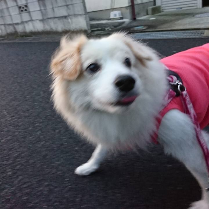 4a3b69e4 292e 4bcf 8530 210db974d956 1510437111535