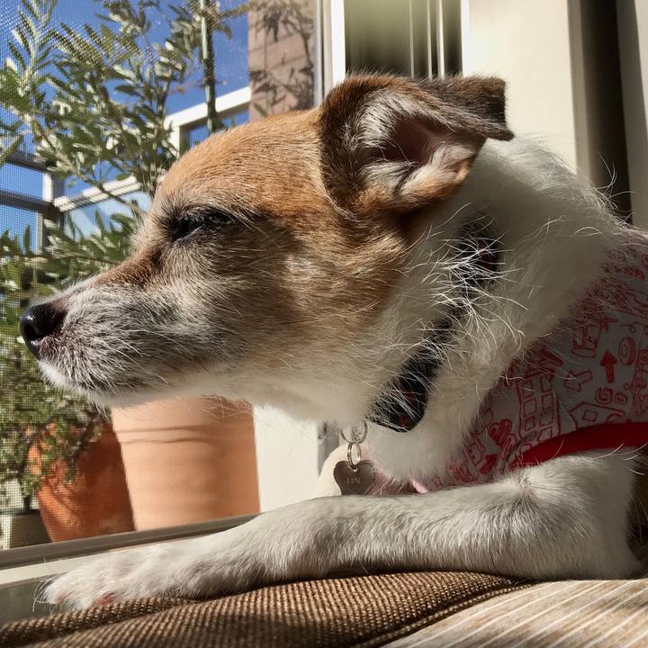 4a3b96d8 467a 4183 b31e be3a2d7645f3 1599526823863