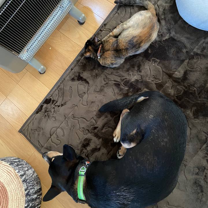 4a3bb23c 4fb5 461a 88e3 c50fbdc32d56 1613399046555