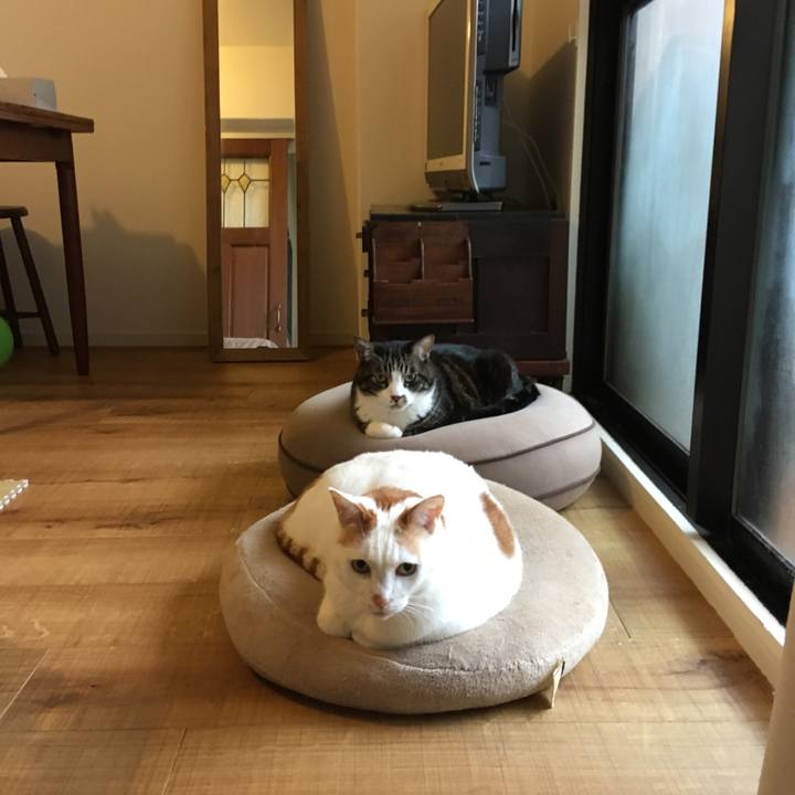 4a3bb8da 615b 4d05 8d6e 807cdae358ce 1549158124290