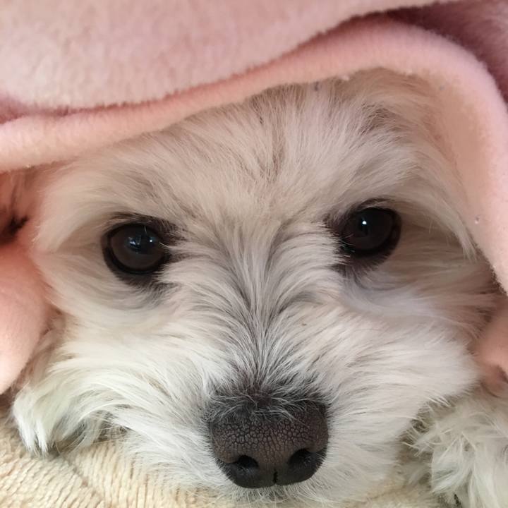 4a3bd10a a7ef 4866 936b 2fb0d3ebcd8e 1515283405957