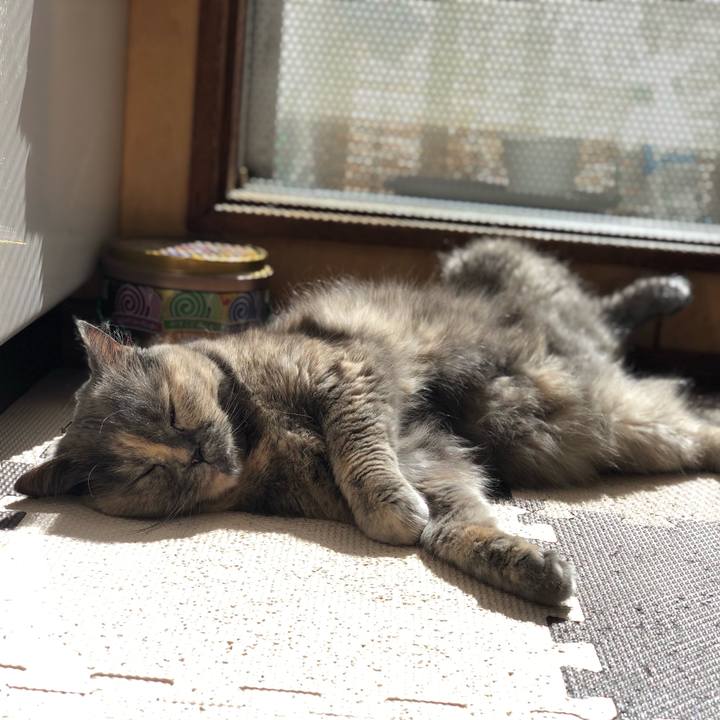 4a3bf2ce a3e3 4fb2 86c1 538ccd750660 1665739993019