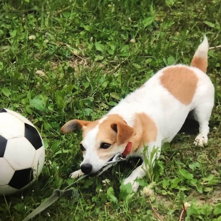 4a3bf43a 0afb 40ae 856d 3d5e0b1e02b3 1549116070084