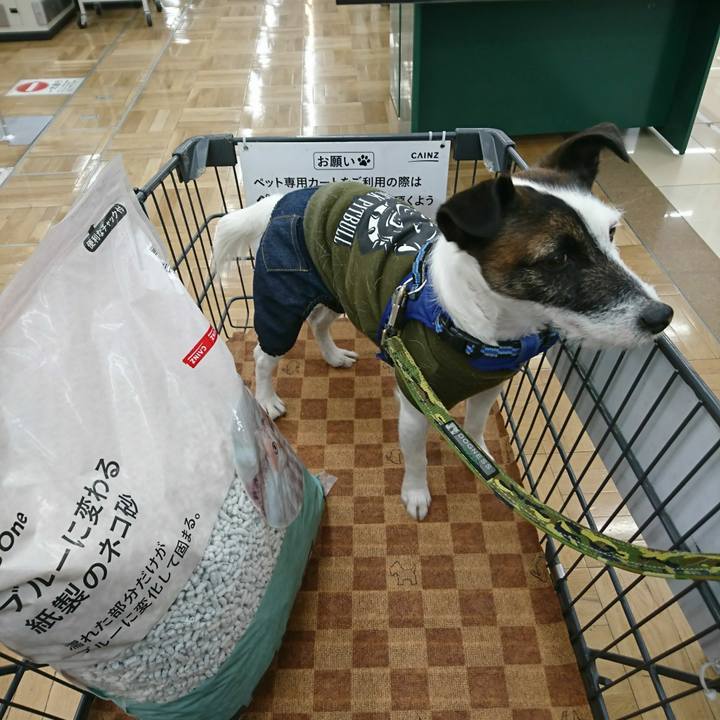 4a3c058b d57a 461c 8f67 e730593461f8 1513766513577