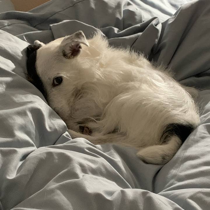 4a3c05e7 c93c 445e bf80 55b90b255aaa 1616941207239