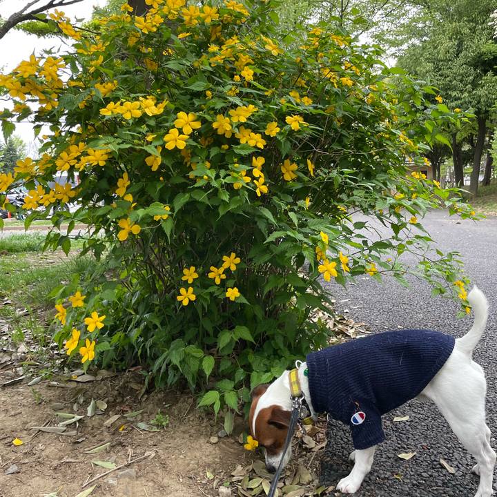 4a3c2a16 b624 475e b631 6d6bc08cc243 1650889085562