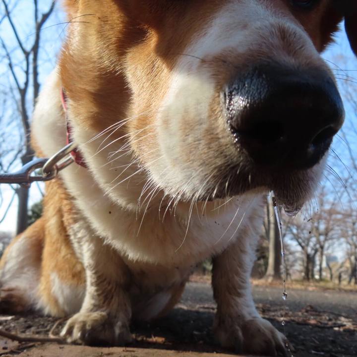 4a3c2be5 f044 4933 95a0 5b6ebb45d7ab 1644887208183