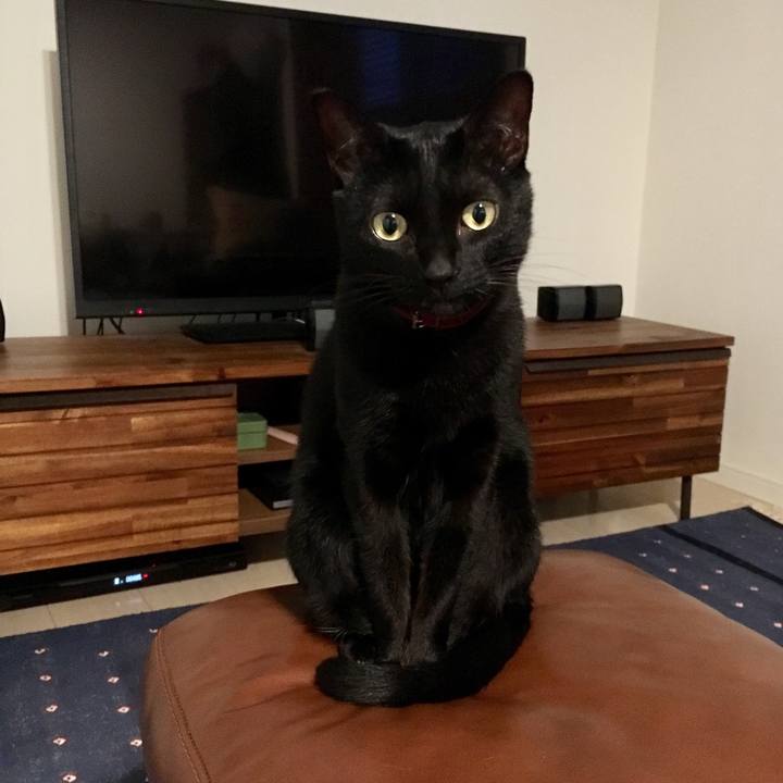 4a3c49d5 2721 4b9a b634 198be3d04b9b 1569139455188