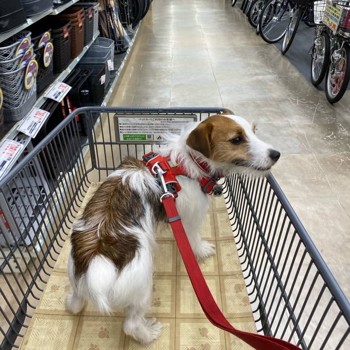 4a3c5dfc 3a15 49af 9d39 c3c2e18fe498 1654336212312