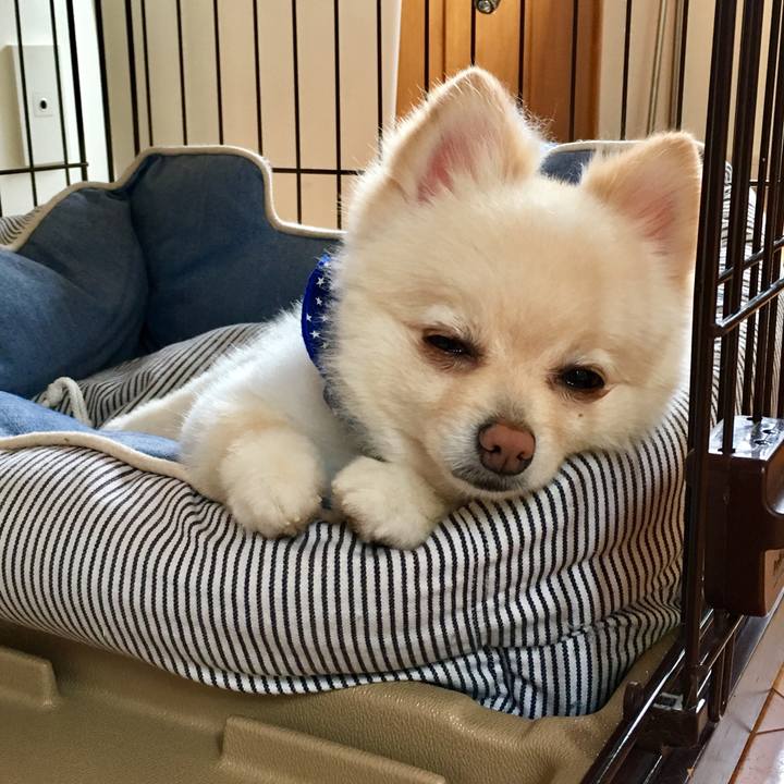 4a3cb747 33cd 491d 8878 5c876b07e86d 1564011044192