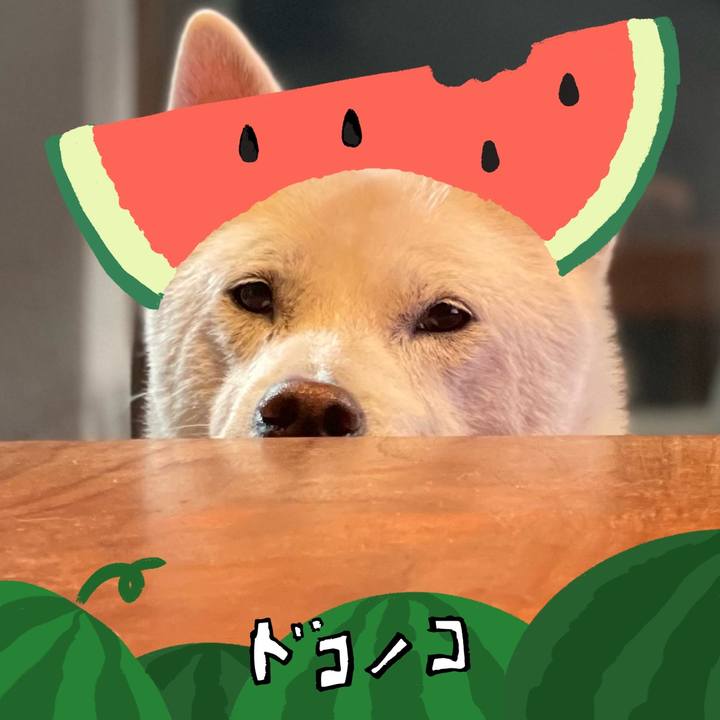 4a3cbbe8 4d01 4413 9f7a 11404e914a70 1720780667637