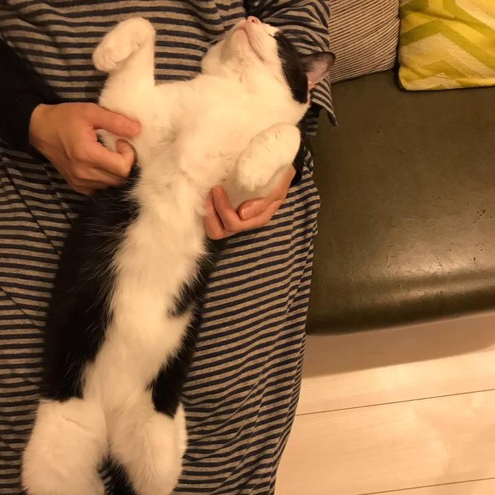 4a3cc1f6 a794 4fab b6f4 8606a05b0be5 1589884940960