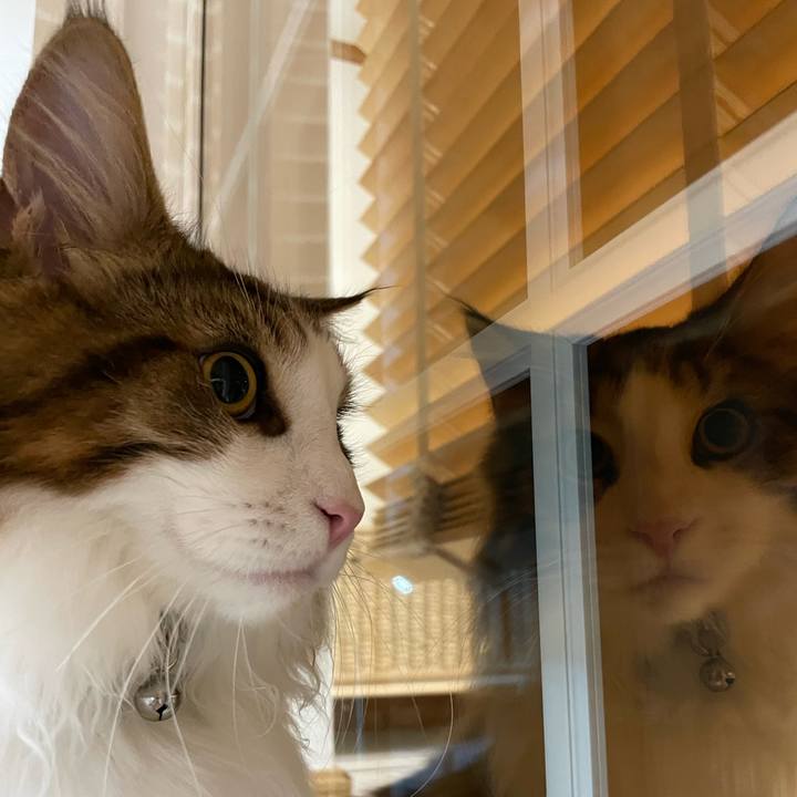 4a3cd982 3eda 468a a88c 75597b7fc305 1642537469978