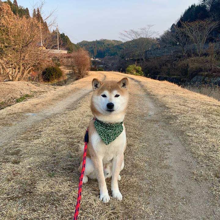 4a3ce9a4 1f12 41e0 9302 be084b512d85 1646994878449