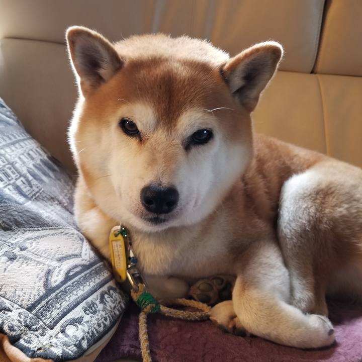 4a3d0d76 c5f5 405c 98c1 62bdc4433200 1570317025659