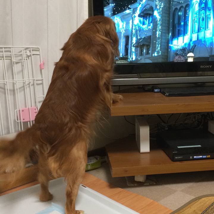 4a3d0e63 544a 4c67 8c5d c118406e814e 1523398090721