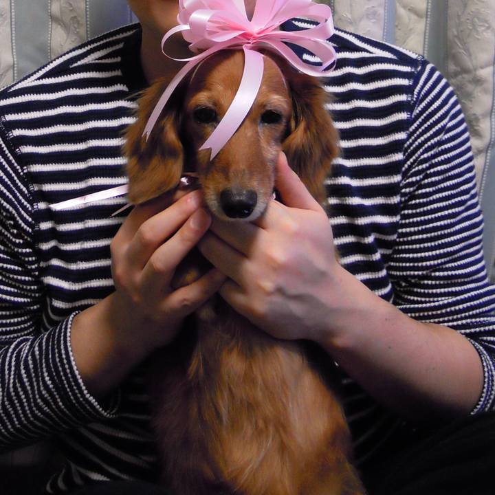 4a3d1b3e 0b2e 4175 aaea a005e182b058 1554916260897