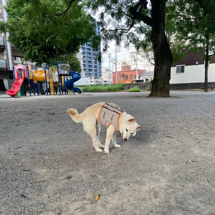 4a3d205b ba35 4fa1 862e f01f05a3fbf0 1658755004824