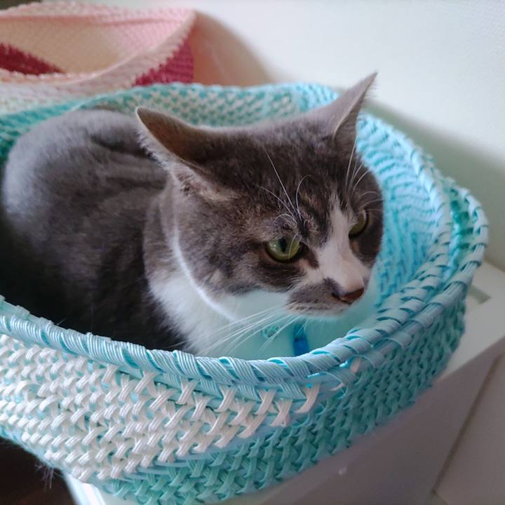 4a3d2605 438e 4f52 b583 b70237424a82 1721010272596