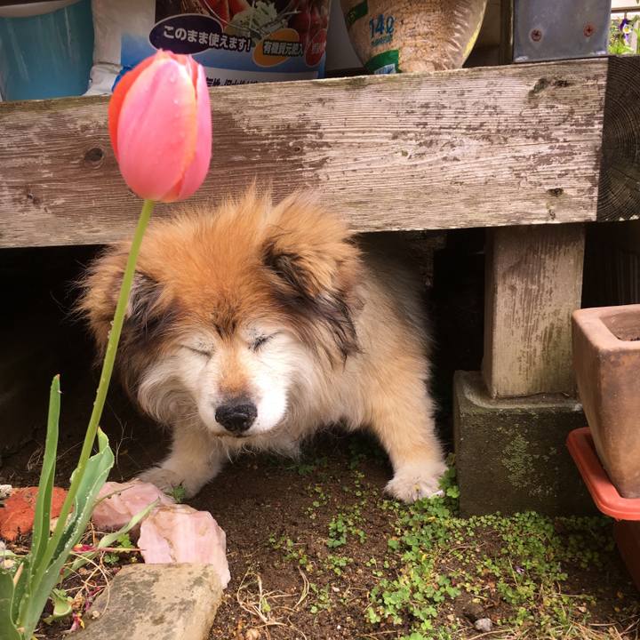 4a3d2eb0 8934 4363 8103 f63b20bd9c28 1573984426302