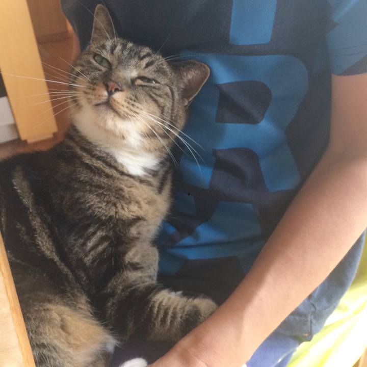 4a3d5311 b7bc 4814 858e 97b785053fa7 1531955247094