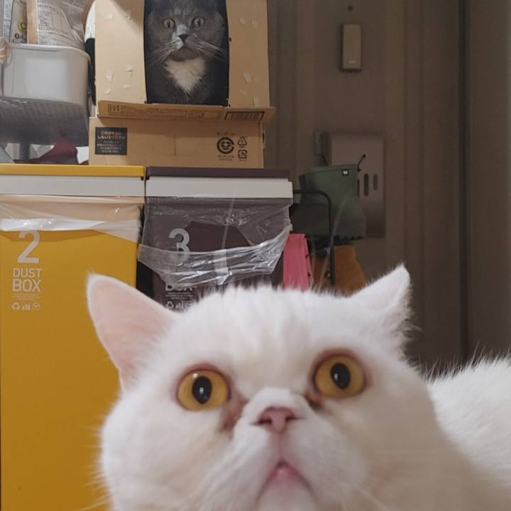 4a3d53ed b118 4dfd a60a 0de96029f7b8 1726387839305