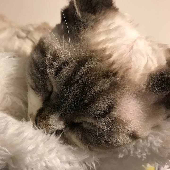 4a3d65d7 66b7 4e34 a579 dab1abe9b868 1596213954514