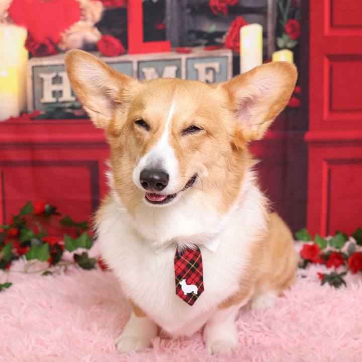 4a3d7889 22b2 4ec5 b60e 527b2a87f776 1772378485504