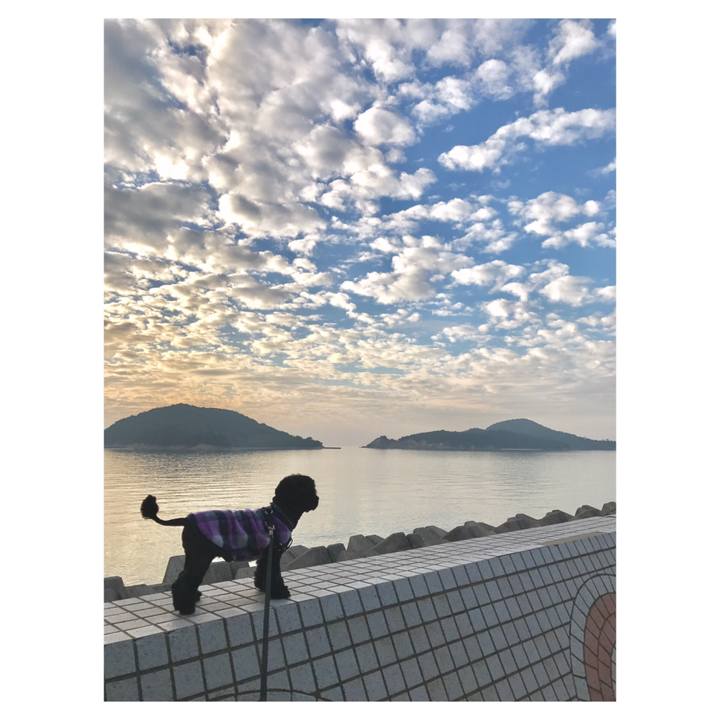 4a3d828b c221 41ab 92f2 eae594fdbb68 1543313712534