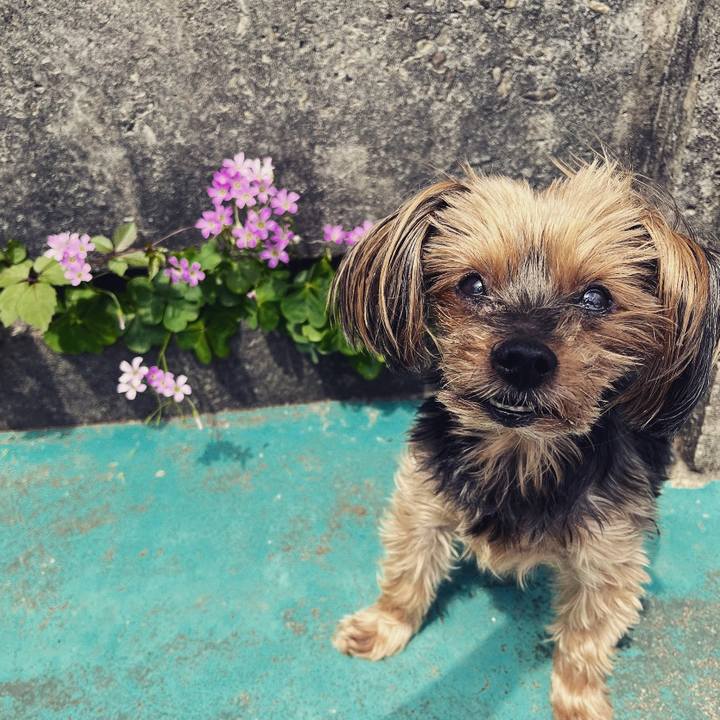 4a3d883c 023d 4d23 938f 588b232063c1 1684634838955