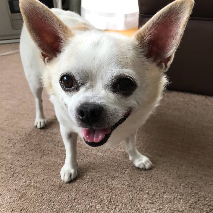 4a3dfc7d f8c4 4fc0 b51d deed20eada2a 1569991197242