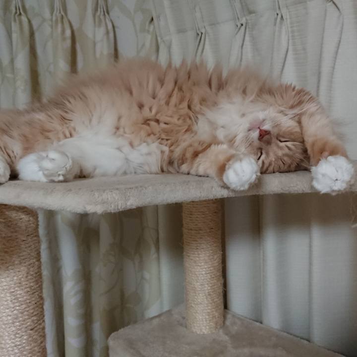 4a3e54e6 591f 48f5 832c f89850669dfa 1575885664905