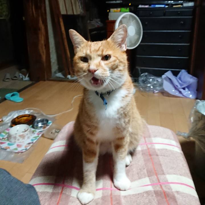 4a3e6a2a c7eb 47eb 8ce3 99d2d0ff68ae 1600114196524