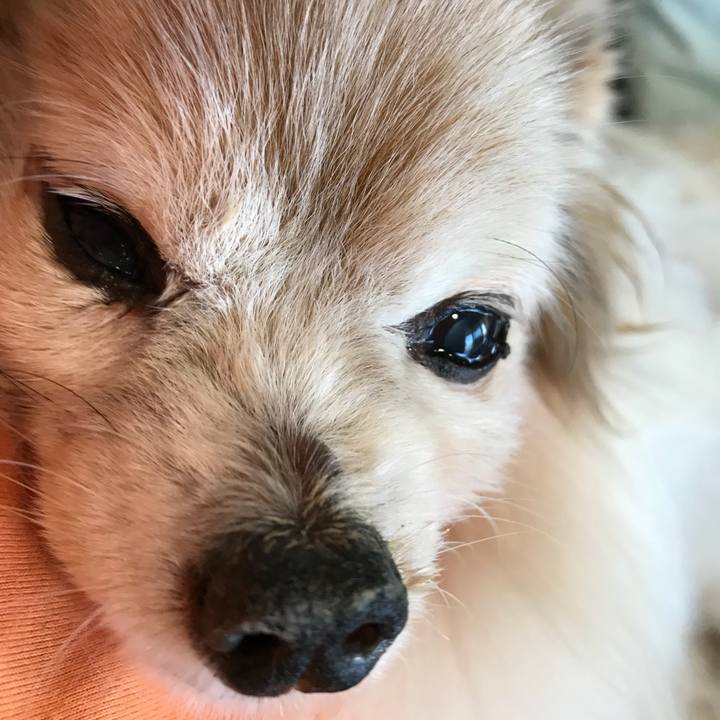 4a3ea069 05c5 48fa a4f0 48efff704e32 1532908733956