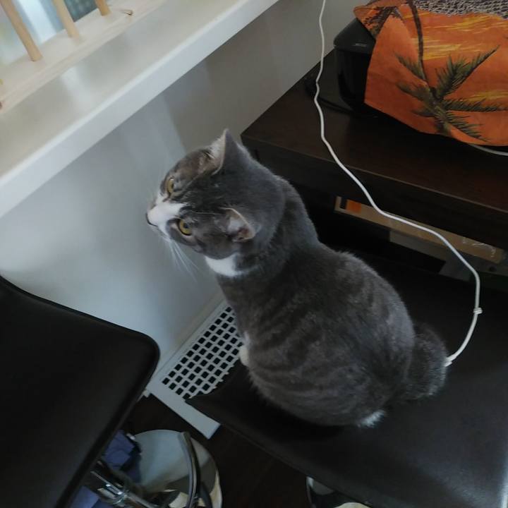 4a3eb557 2620 4258 a000 45ccf39beb4a 1582155843620