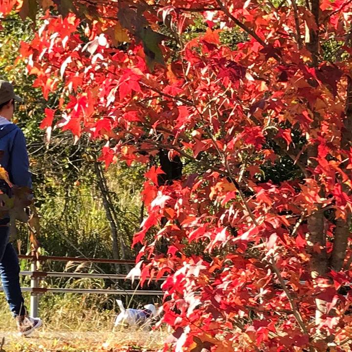 4a3f00cf 3670 4cdb b369 5cae976d1a5e 1540538298115